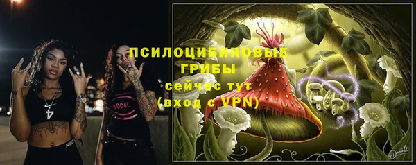 ECSTASY Пролетарск